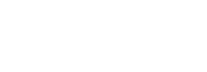 logo w2x 300x105.png